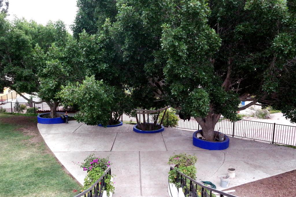 Quinta Los Arrayanes Hotel Ensenada Luaran gambar